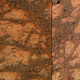 Image for article titled NASA Sued for Failing to Analyze 'Alien Life'